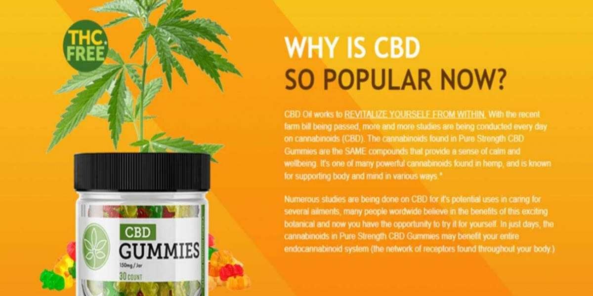 The Ten Secrets About Green Dolphin CBD Gummies Only A Handful Of People Know.