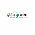Evergreen Plywood Profile Picture