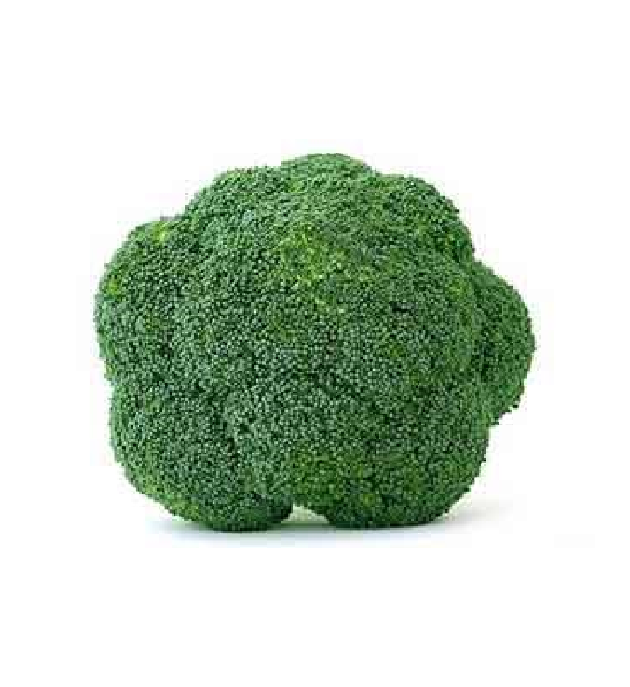 Buy Broccoli Online 300gm Online At Best Price - Supple Agro Microgreens