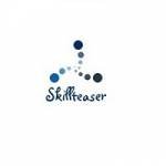 Skillteaser Technologies Profile Picture