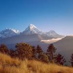 Sherpa Expedition and Trekking Profile Picture