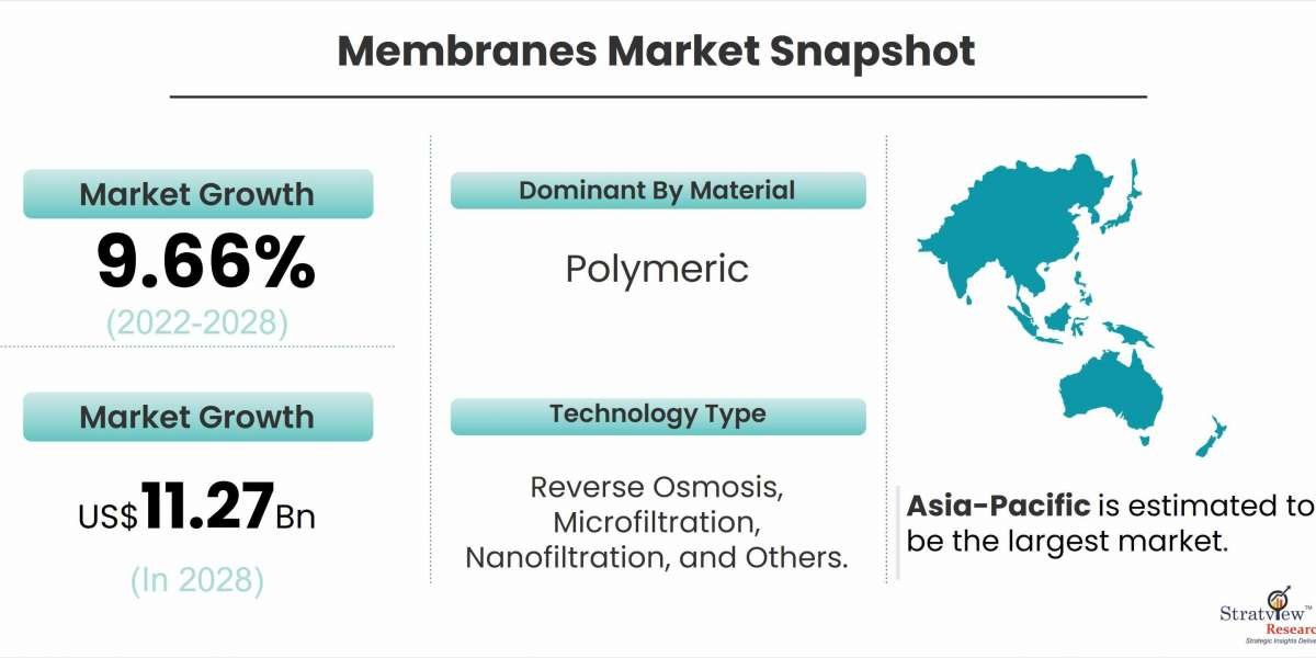 Clearing the Waters: Insights into the Water Treatment Membranes Market